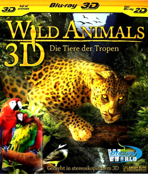 F242. Wild Animals 3D 